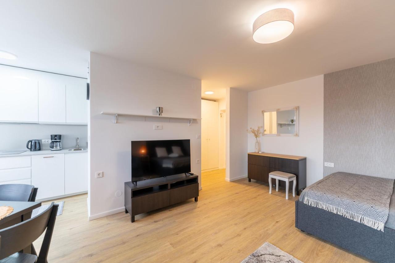 Elegant Tour As Studio Gilly With Open Views And A Balcony In The Center לובליאנה מראה חיצוני תמונה